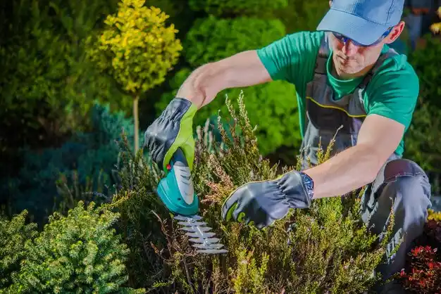 landscaping services Brewer